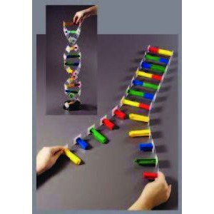 Economy DNA Model